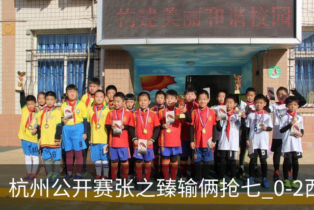 杭州公开赛张之臻输俩抢七 0-2西里奇收获亚军